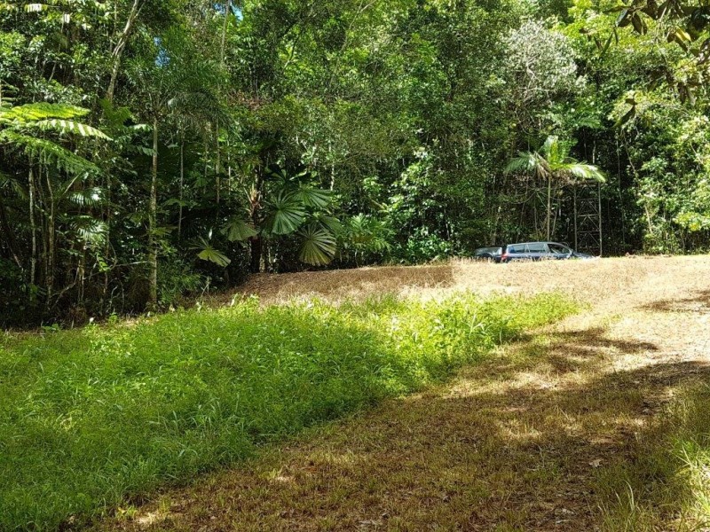53 Carbeen Rd Diwan, Daintree QLD 4873