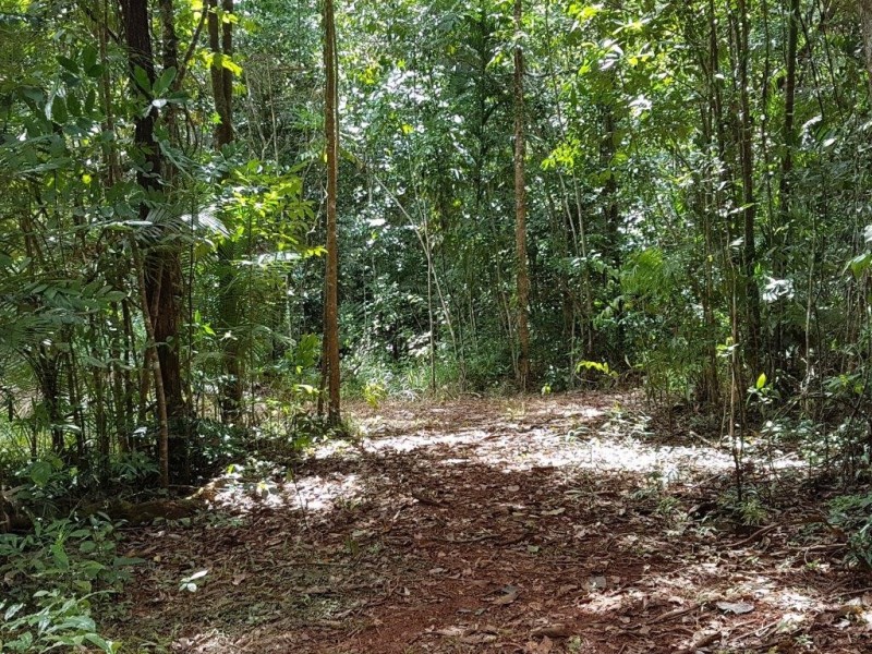53 Carbeen Rd Diwan, Daintree QLD 4873