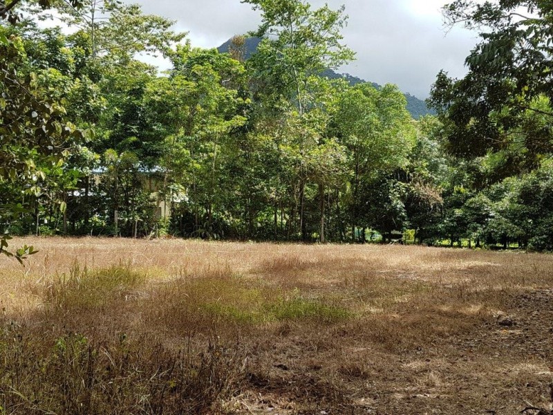 53 Carbeen Rd Diwan, Daintree QLD 4873