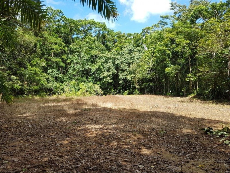 53 Carbeen Rd Diwan, Daintree QLD 4873