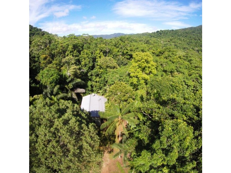 53 Carbeen Rd Diwan, Daintree QLD 4873