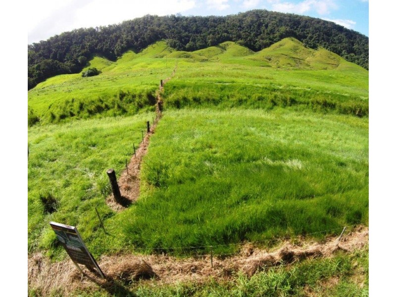 Lot 1 Stewart Creek Road (Stewart Creek Valley), Daintree QLD 4873