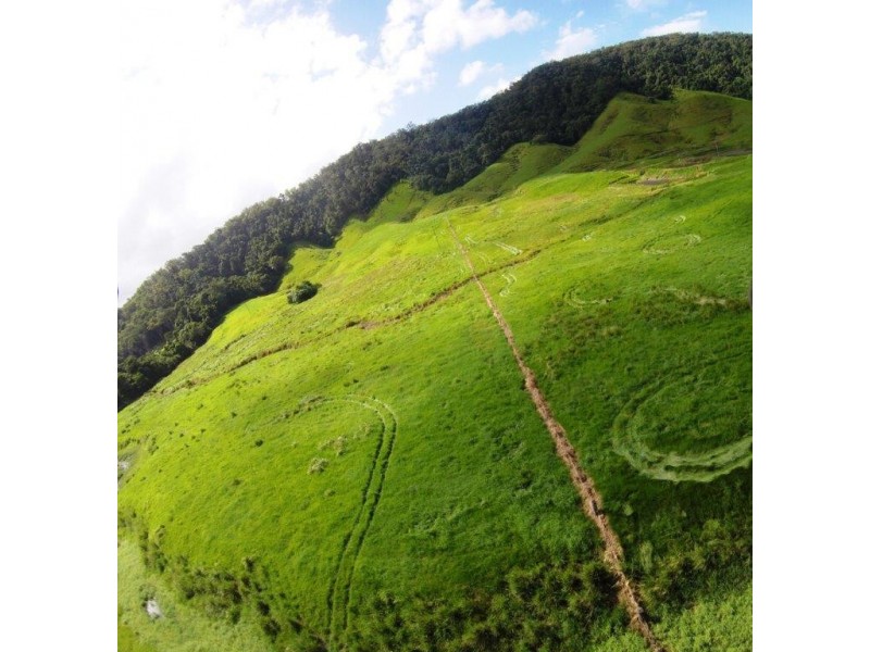 Lot 1 Stewart Creek Road (Stewart Creek Valley), Daintree QLD 4873
