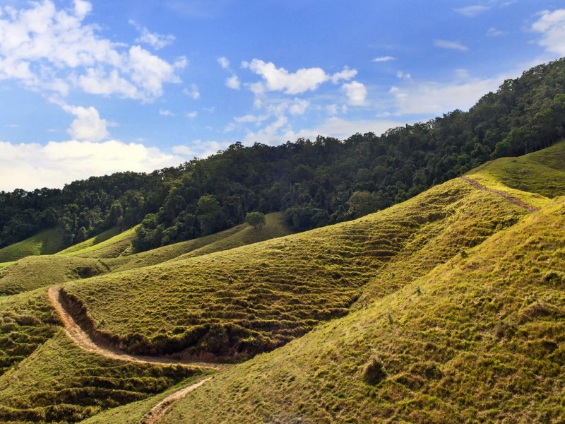 Lot 1 Stewart Creek Road (Stewart Creek Valley), Daintree QLD 4873