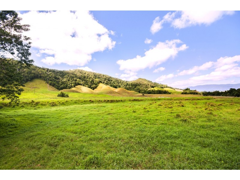 Lot 1 Stewart Creek Road (Stewart Creek Valley), Daintree QLD 4873
