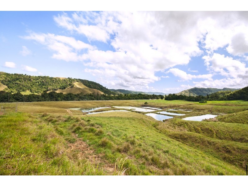 Lot 1 Stewart Creek Road (Stewart Creek Valley), Daintree QLD 4873