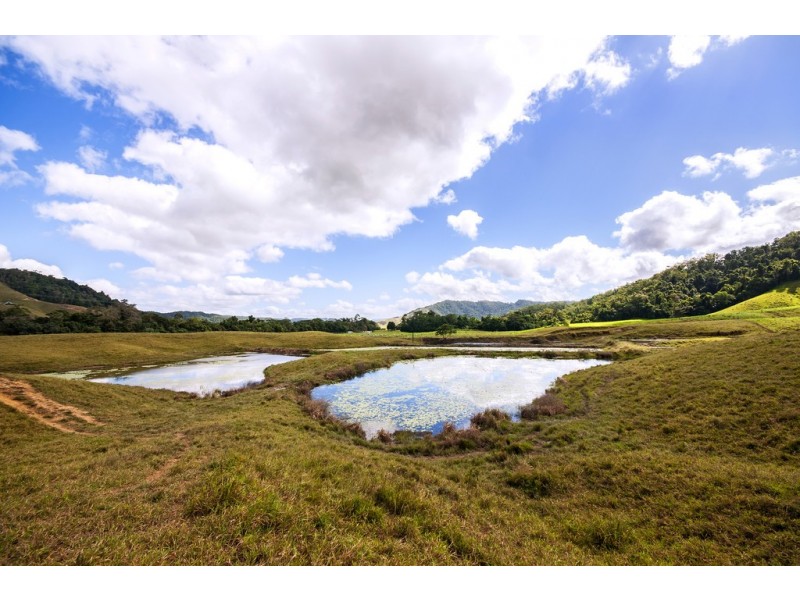 Lot 1 Stewart Creek Road (Stewart Creek Valley), Daintree QLD 4873