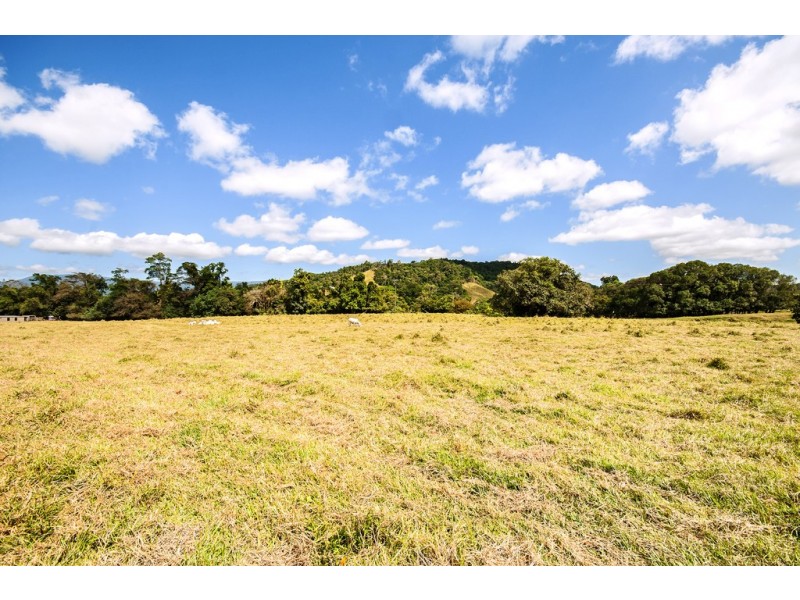 Lot 1 Stewart Creek Road (Stewart Creek Valley), Daintree QLD 4873
