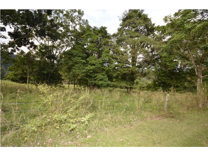 Lot 6 Stewart Creek Road (Stewart Creek Valley), Lower Daintree QLD 4873