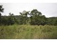 Lot 6 Stewart Creek Road (Stewart Creek Valley), Lower Daintree QLD 4873