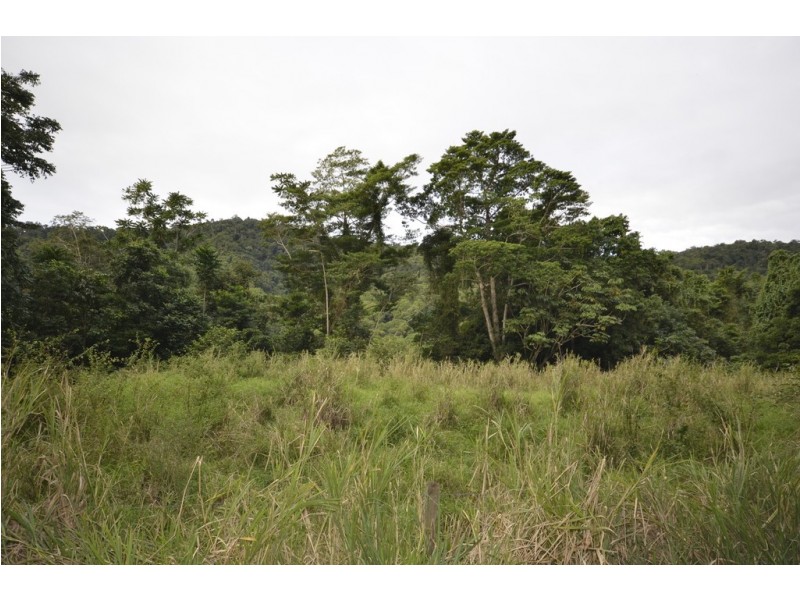Lot 6 Stewart Creek Road (Stewart Creek Valley), Lower Daintree QLD 4873