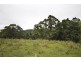 Lot 6 Stewart Creek Road (Stewart Creek Valley), Lower Daintree QLD 4873