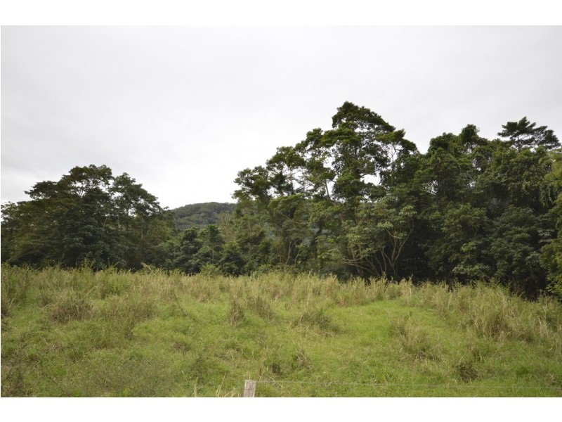 Lot 6 Stewart Creek Road (Stewart Creek Valley), Lower Daintree QLD 4873