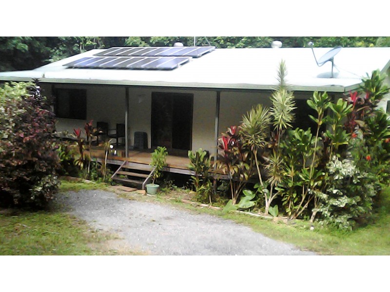 210 White Beech Rd, Daintree QLD 4873