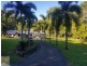 66 Whiteley Road, Miallo QLD 4873