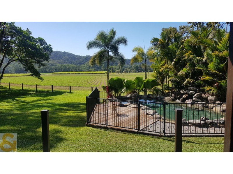 66 Whiteley Road, Miallo QLD 4873