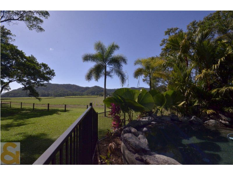 66 Whiteley Road, Miallo QLD 4873