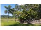 66 Whiteley Road, Miallo QLD 4873