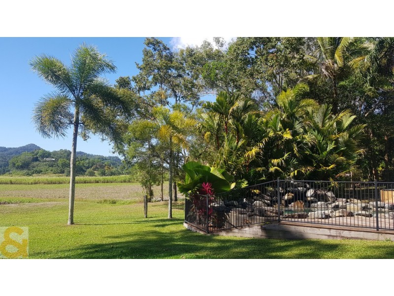 66 Whiteley Road, Miallo QLD 4873