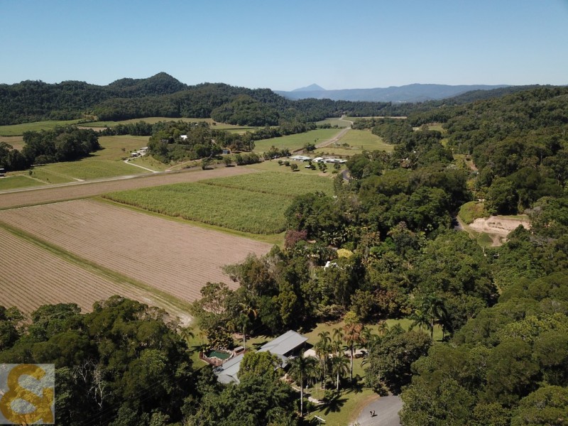 66 Whiteley Road, Miallo QLD 4873