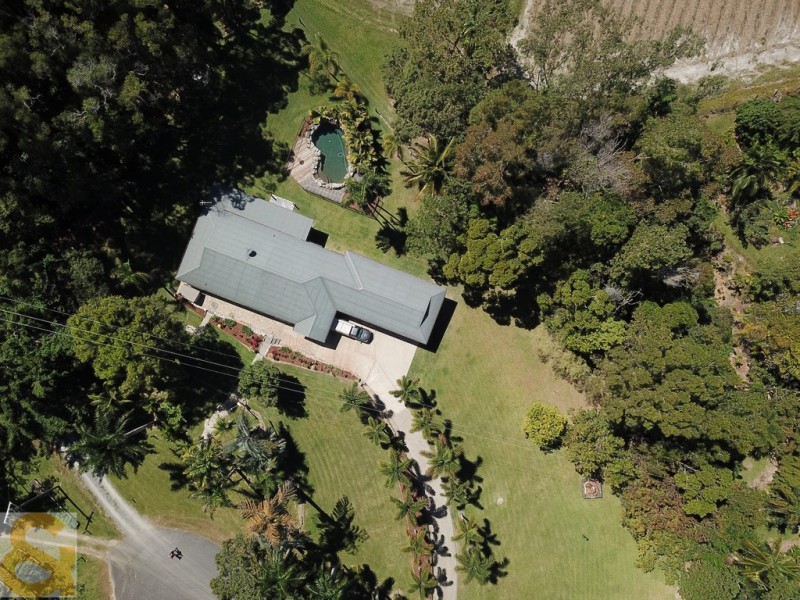 66 Whiteley Road, Miallo QLD 4873