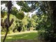 Lot 65 Palm Road, Diwan QLD 4873