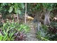 157 Old Forestry Road, Whyanbeel QLD 4873