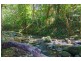 157 Old Forestry Road, Whyanbeel QLD 4873