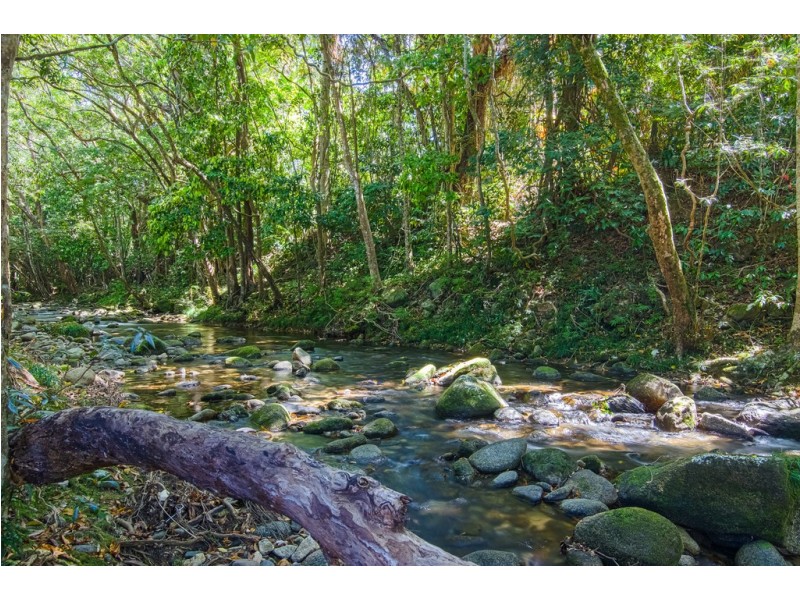 157 Old Forestry Road, Whyanbeel QLD 4873
