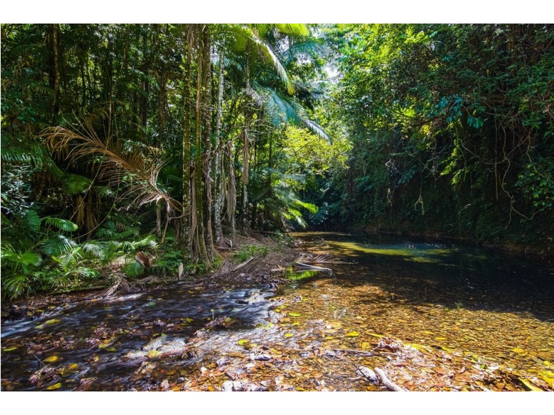 29 Mahogany Road Diwan, Daintree QLD 4873