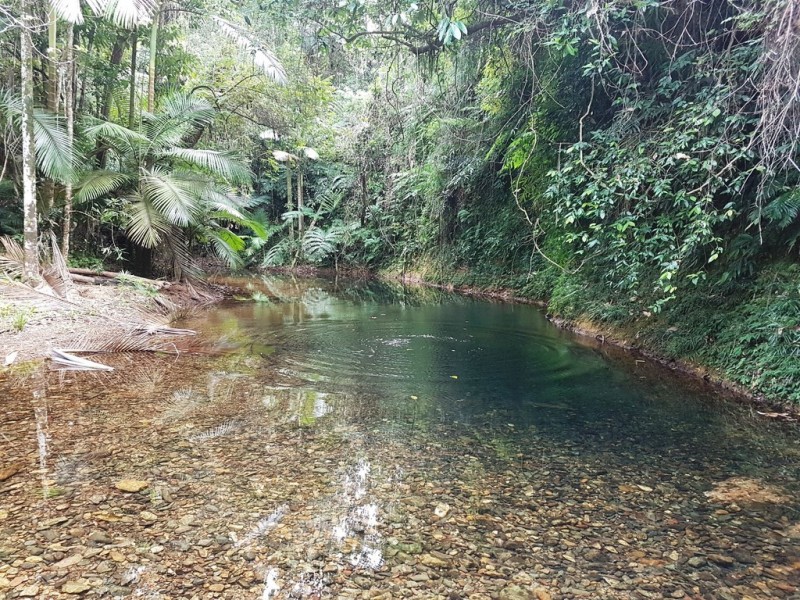 29 Mahogany Road Diwan, Daintree QLD 4873