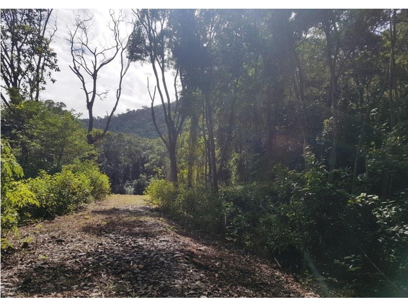 66 George Road Forest Creek, Daintree QLD 4873