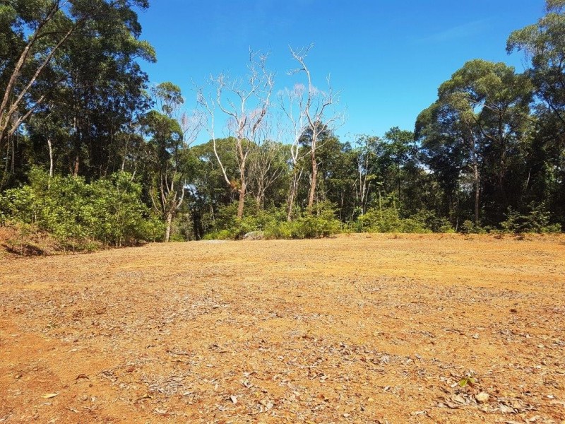 66 George Road Forest Creek, Daintree QLD 4873