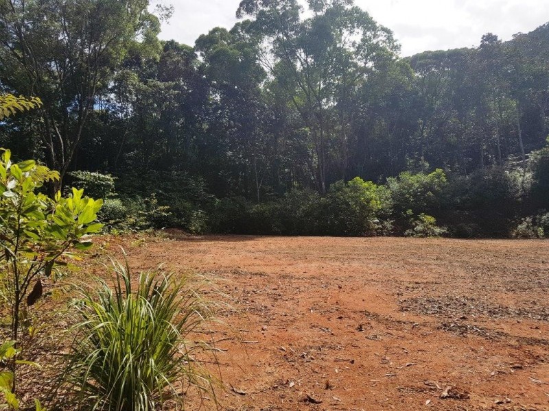 66 George Road Forest Creek, Daintree QLD 4873