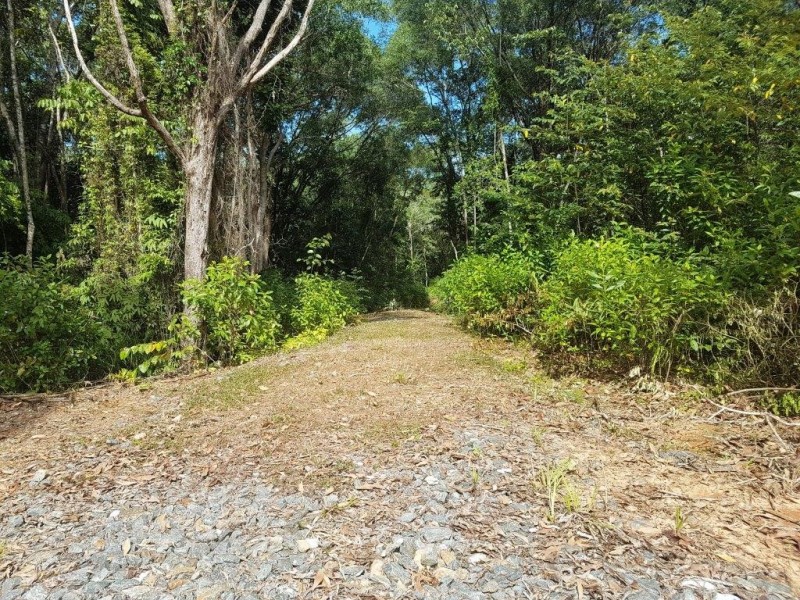 66 George Road Forest Creek, Daintree QLD 4873