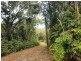 66 George Road Forest Creek, Daintree QLD 4873