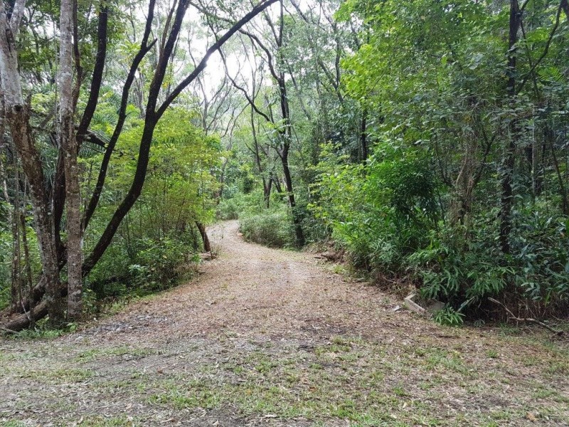 66 George Road Forest Creek, Daintree QLD 4873