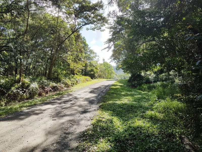66 George Road Forest Creek, Daintree QLD 4873