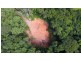 66 George Road Forest Creek, Daintree QLD 4873