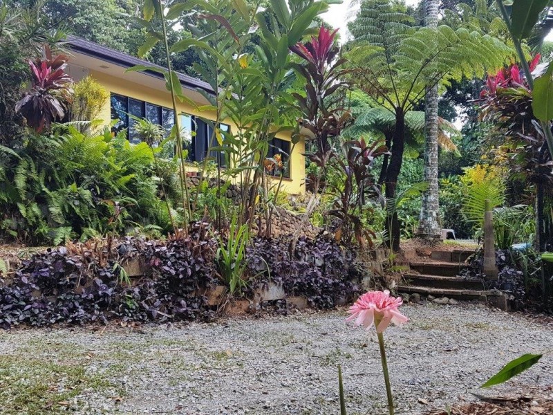7 Buchanan Creek Road Cow Bay, Daintree QLD 4873