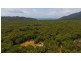 103 Rosewood (Cedar) Road Cow Bay, Daintree QLD 4873