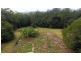 103 Rosewood (Cedar) Road Cow Bay, Daintree QLD 4873