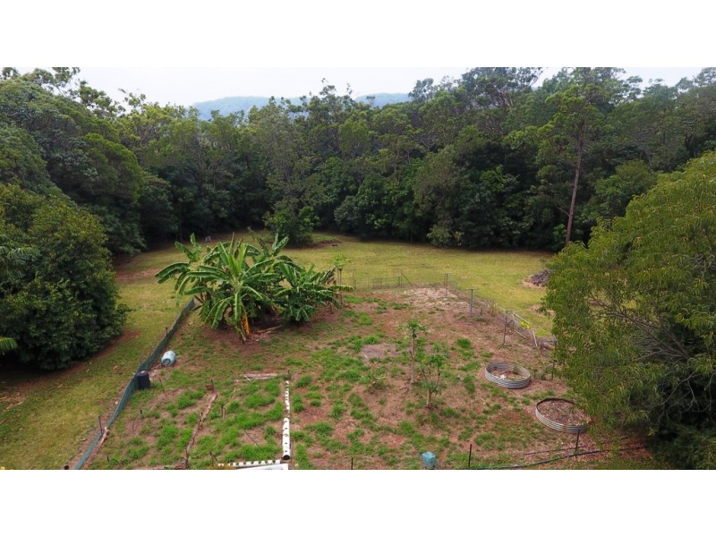 103 Rosewood (Cedar) Road Cow Bay, Daintree QLD 4873