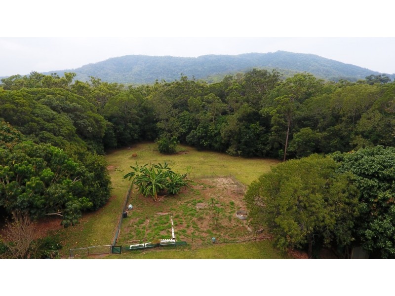 103 Rosewood (Cedar) Road Cow Bay, Daintree QLD 4873