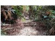 2 Forest Creek Road, Daintree QLD 4873