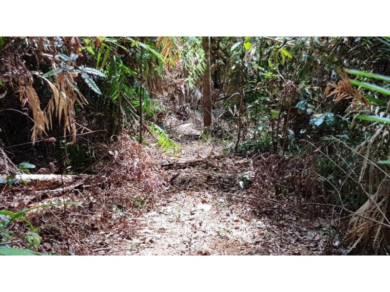 2 Forest Creek Road, Daintree QLD 4873