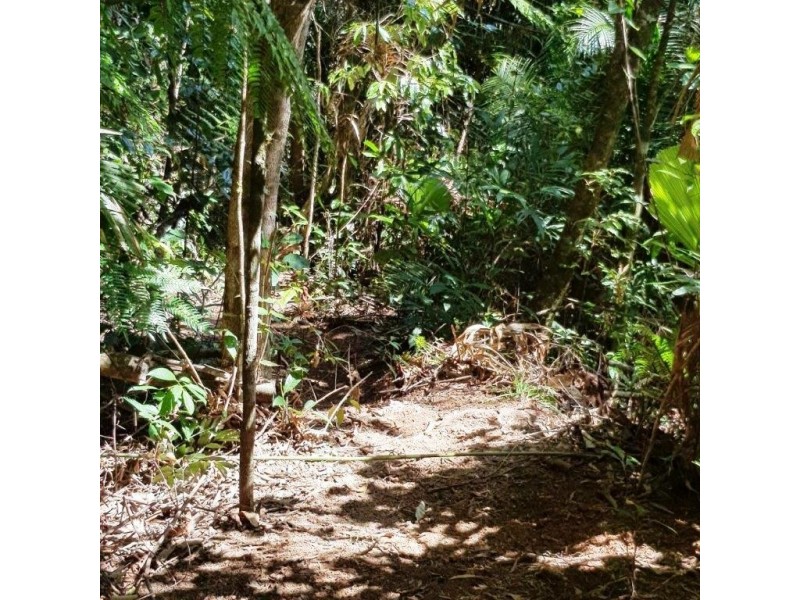2 Forest Creek Road, Daintree QLD 4873