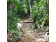 2 Forest Creek Road, Daintree QLD 4873