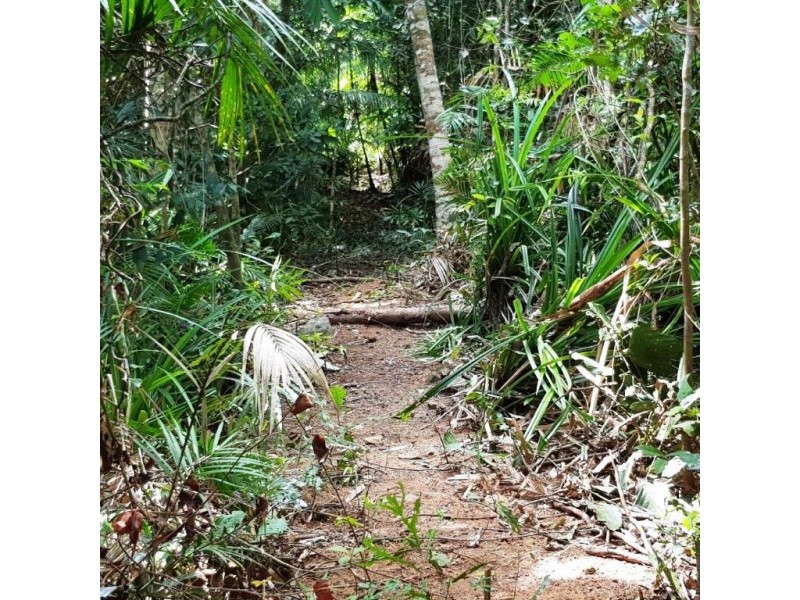 2 Forest Creek Road, Daintree QLD 4873