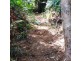 2 Forest Creek Road, Daintree QLD 4873